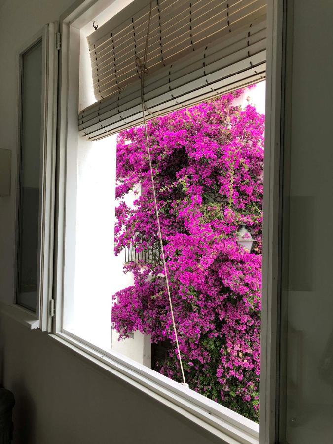 فيلا Centric Townhouse Cadaques - Casa Voltes - المظهر الخارجي الصورة